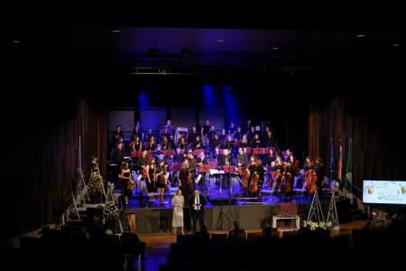 Dan samostojnosti Krško 117